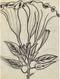 LOVET DRAWINGS